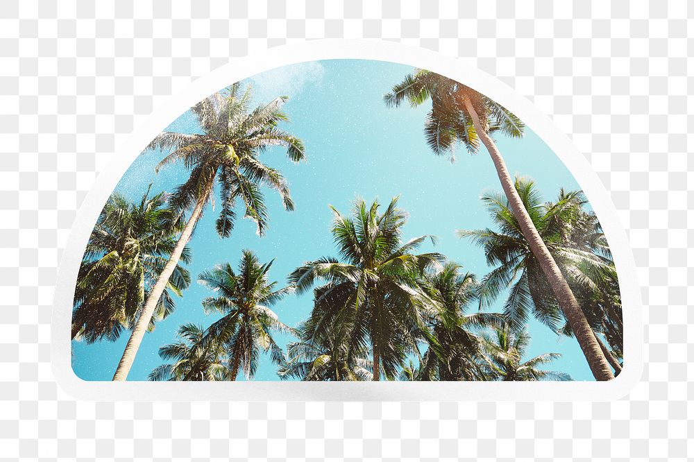Summer png palm trees, printable semicircle sticker in transparent background