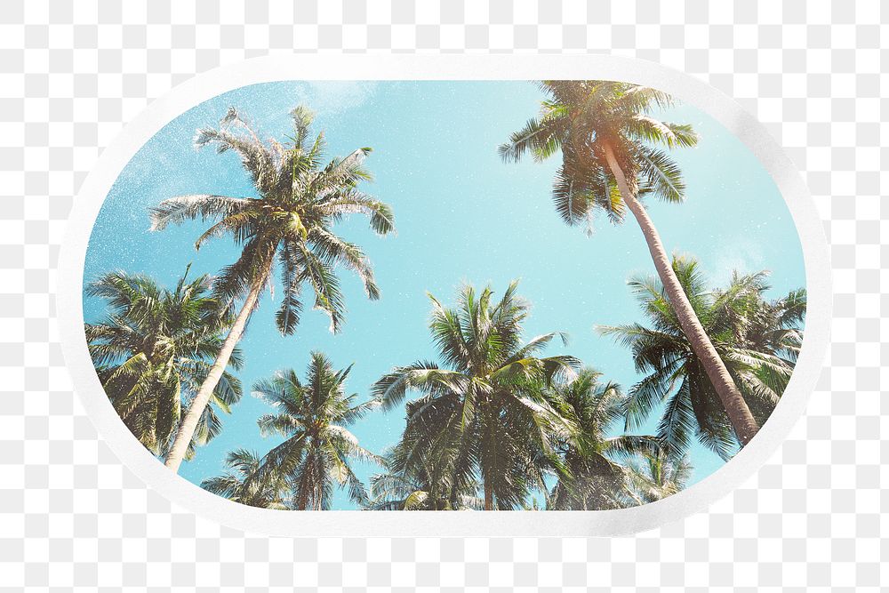 Summer png palm trees, printable rectangle oval sticker in transparent background