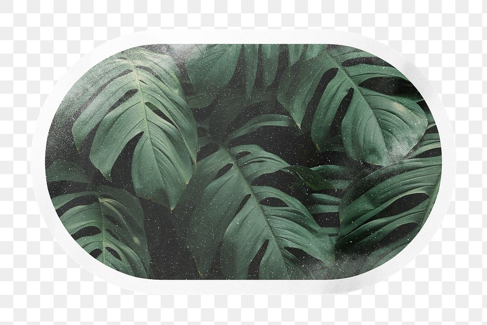 PNG green tropical leaves, printable | Free PNG - rawpixel