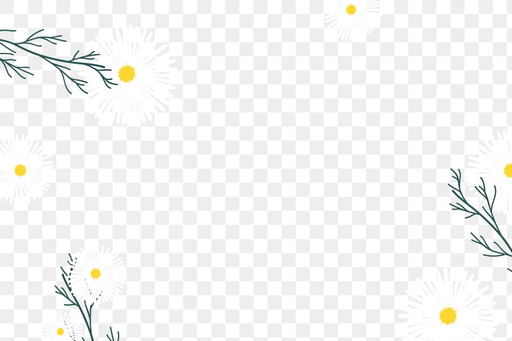 Aesthetic daisy png, transparent background border