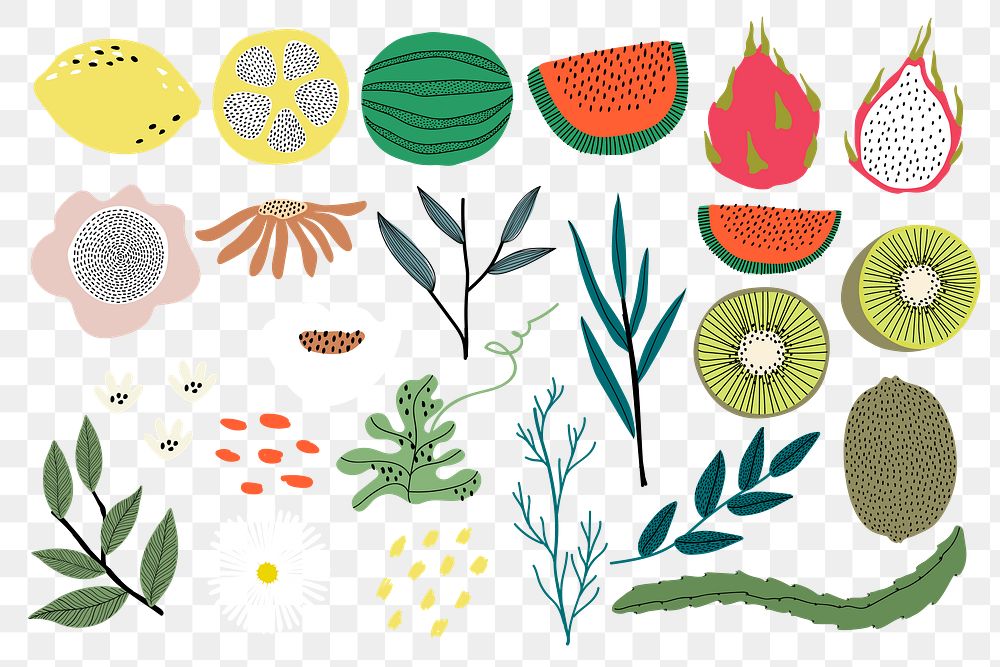 Aesthetic fruit png doodle sticker, botanical set, transparent background