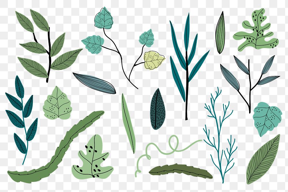 Aesthetic leaf png doodle sticker, botanical set, transparent background