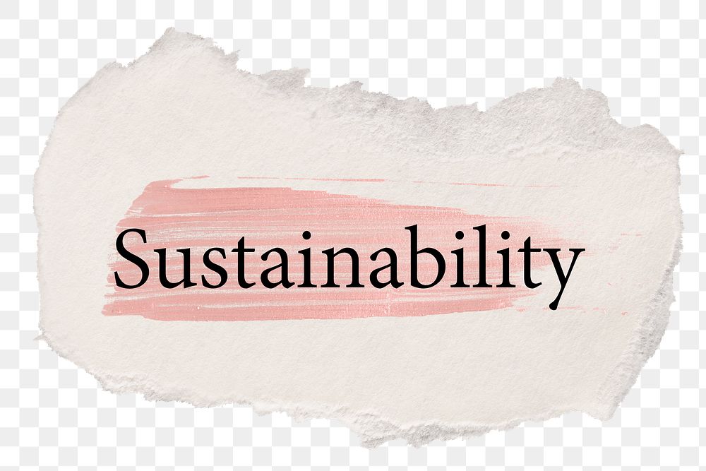 Sustainability png word sticker typography, torn paper transparent background