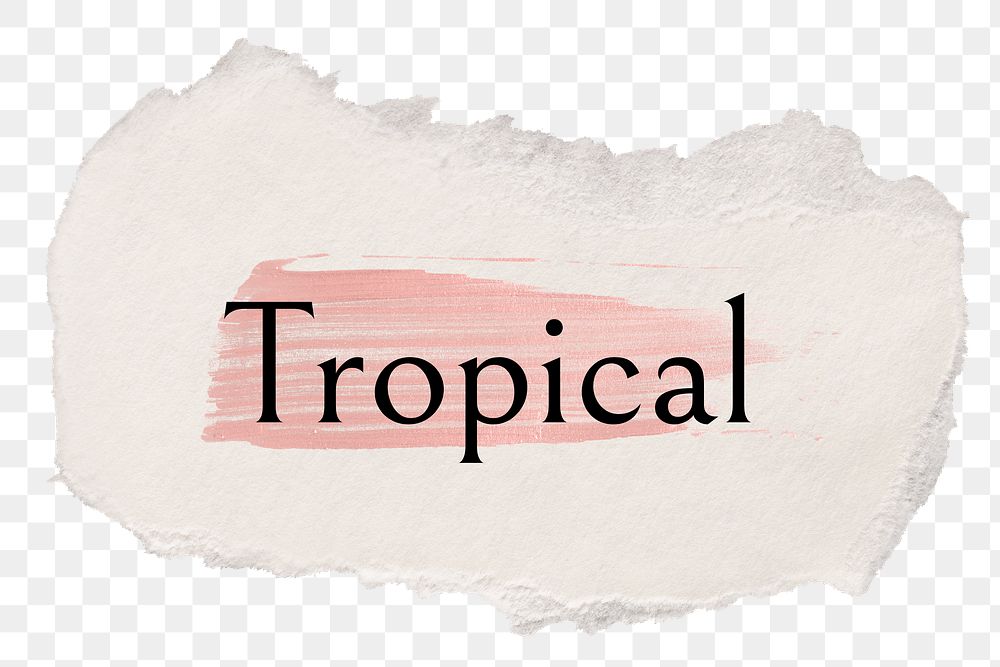 Tropical png word sticker typography, torn paper transparent background