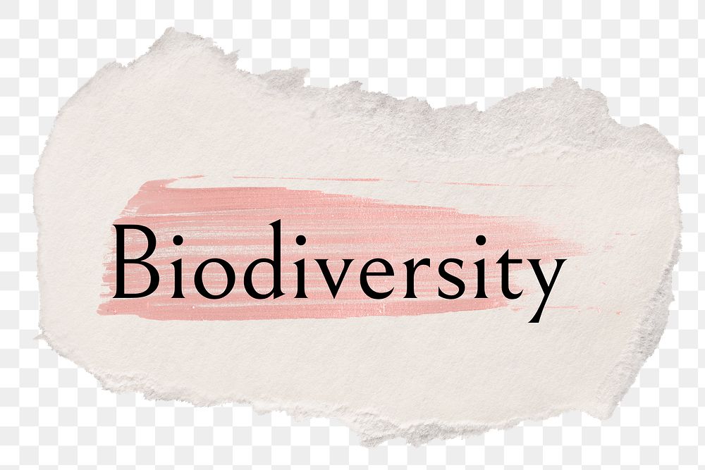 Biodiversity png ripped paper word sticker typography, transparent background