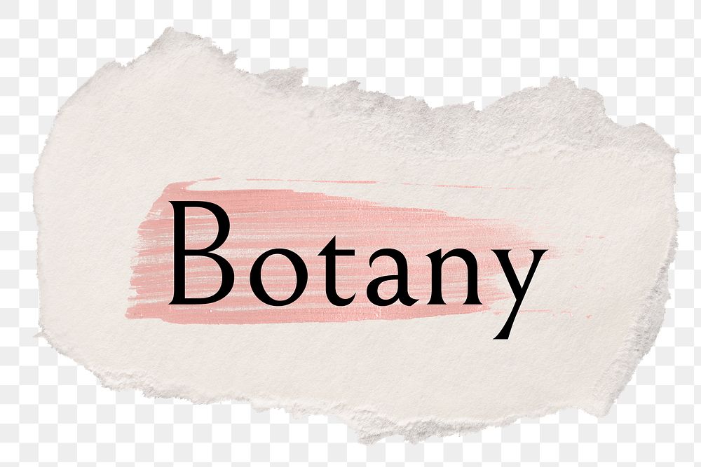Botany png ripped paper word sticker typography, transparent background