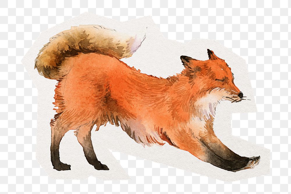 Stretching fox png sticker, cut out paper design, transparent background