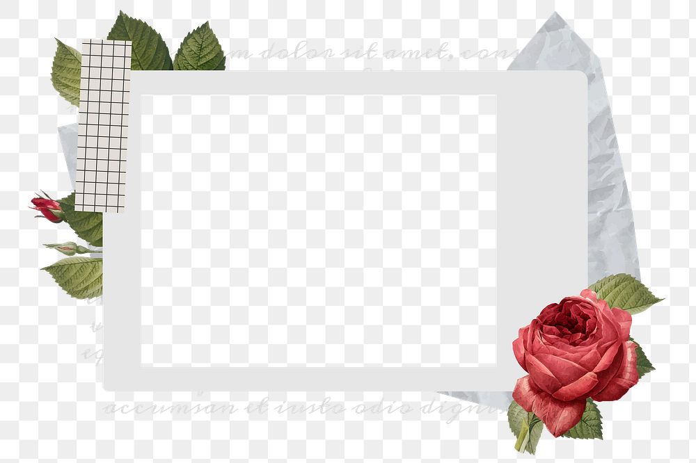 Instant photo png frame sticker, red rose design, transparent background