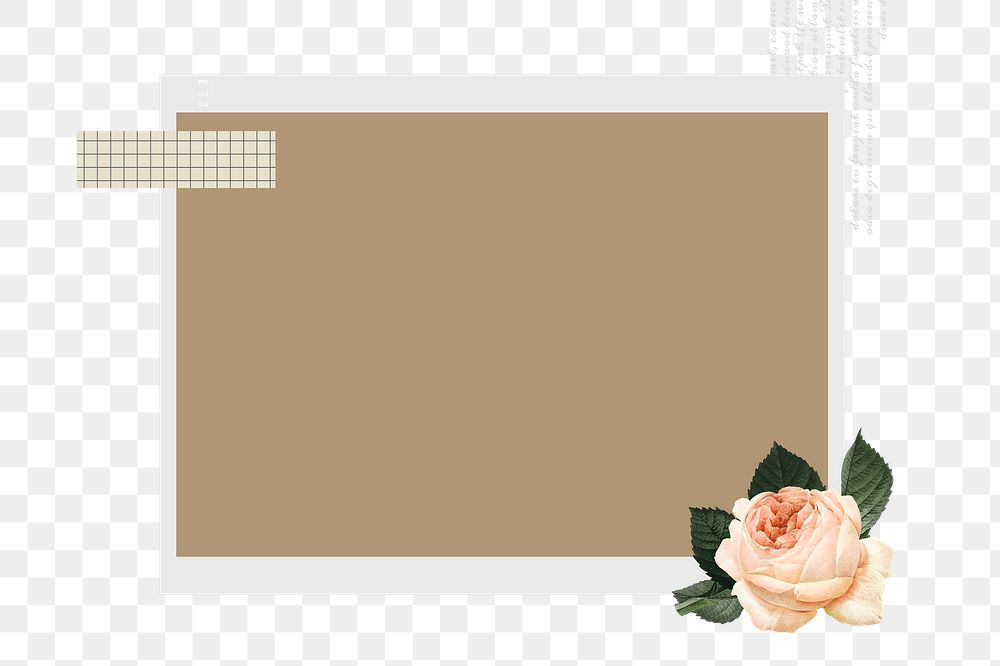 Instant photo png frame sticker, aesthetic rose collage, transparent background