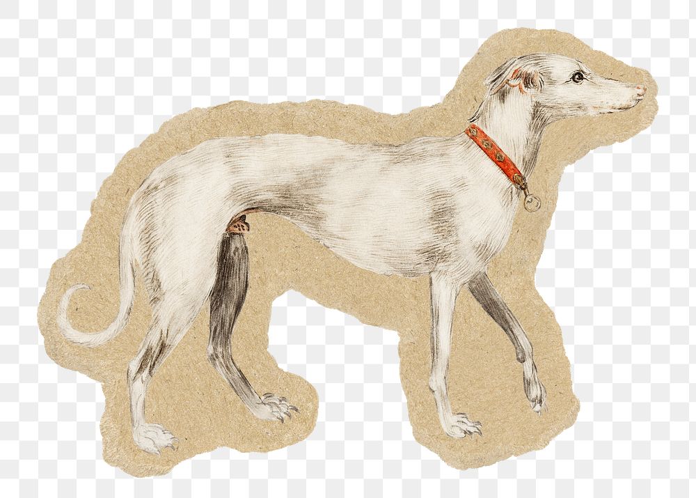 Greyhound dog png sticker, ripped paper transparent background