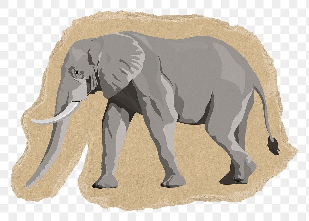 Elephant png sticker, torn paper transparent background
