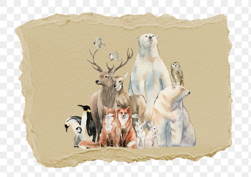 Wild animals png sticker, ripped paper, transparent background
