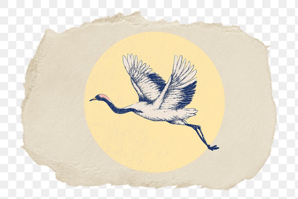 Flying crane bird png sticker, ripped paper, transparent background