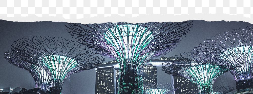 Png Supertree Grove in Singapore border sticker on ripped paper transparent background