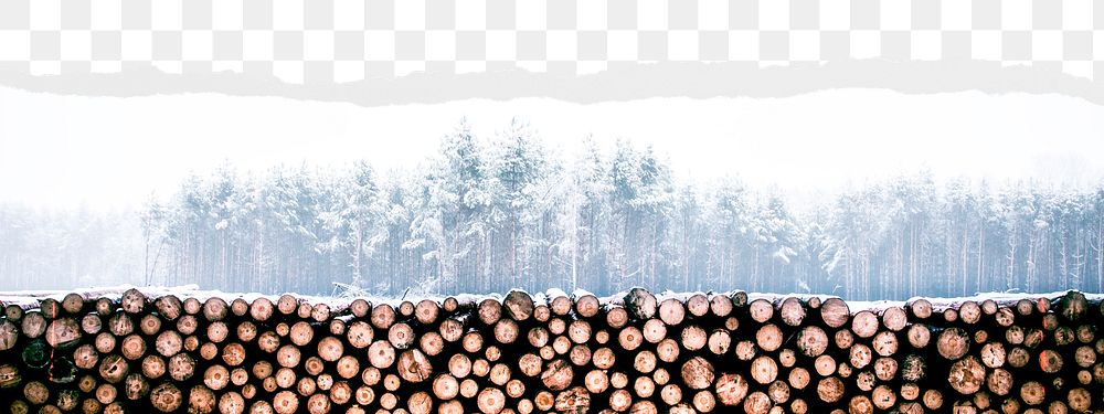 Wood stack png border sticker on ripped paper transparent background