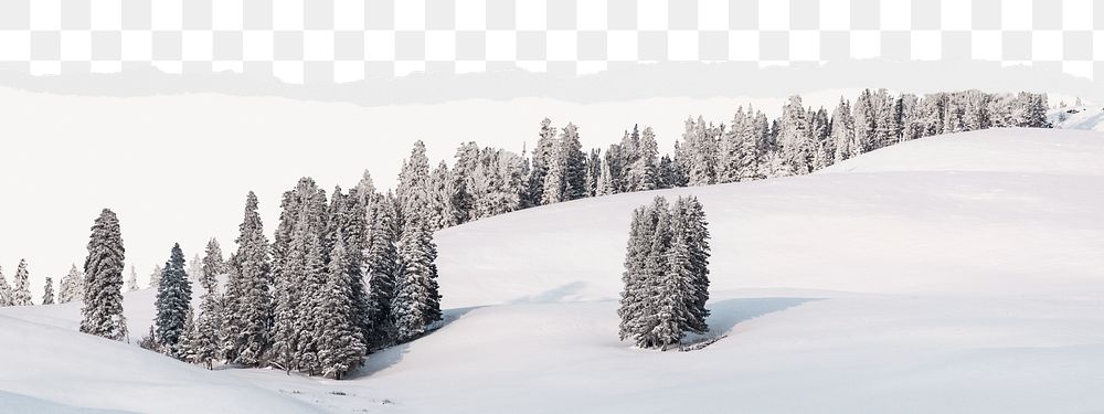 Winter landscape png border sticker on ripped paper transparent background transparent background