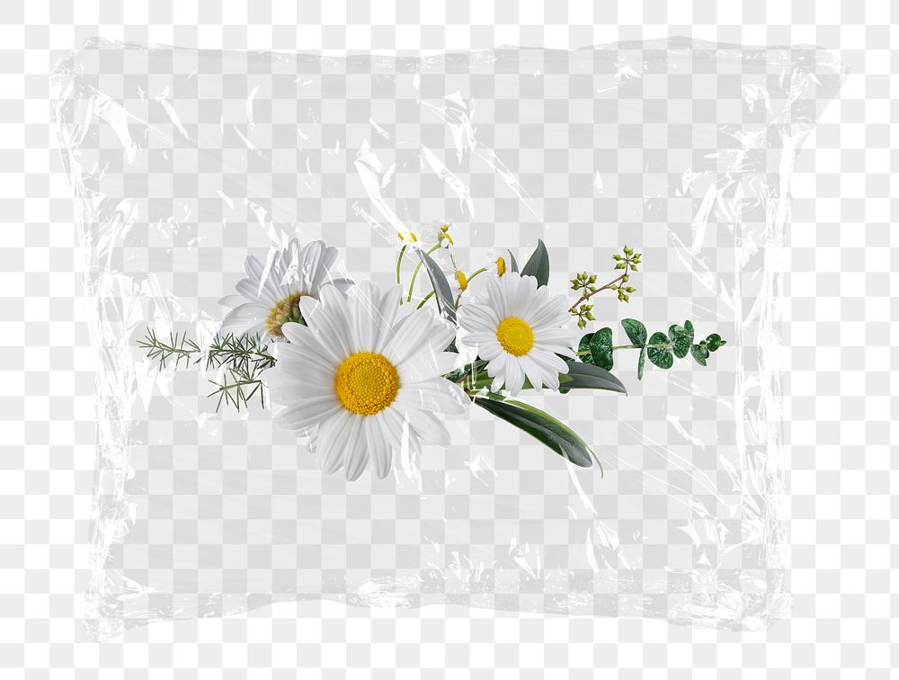 White daisy png flowers plastic bag sticker, Spring concept art on transparent background