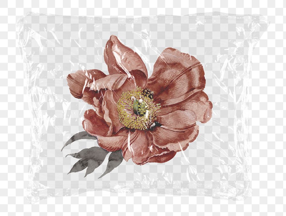 Dried pink png flower plastic bag sticker, Autumn concept art on transparent background