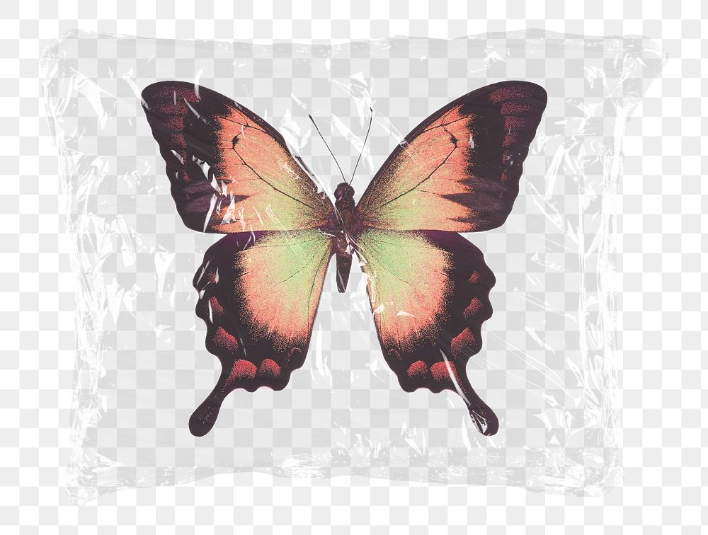 Monarch butterfly png plastic bag sticker, spirit animal concept art on transparent background