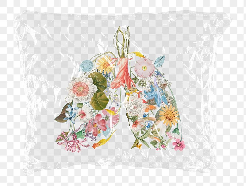 Floral lungs png plastic bag sticker, surreal concept art on transparent background
