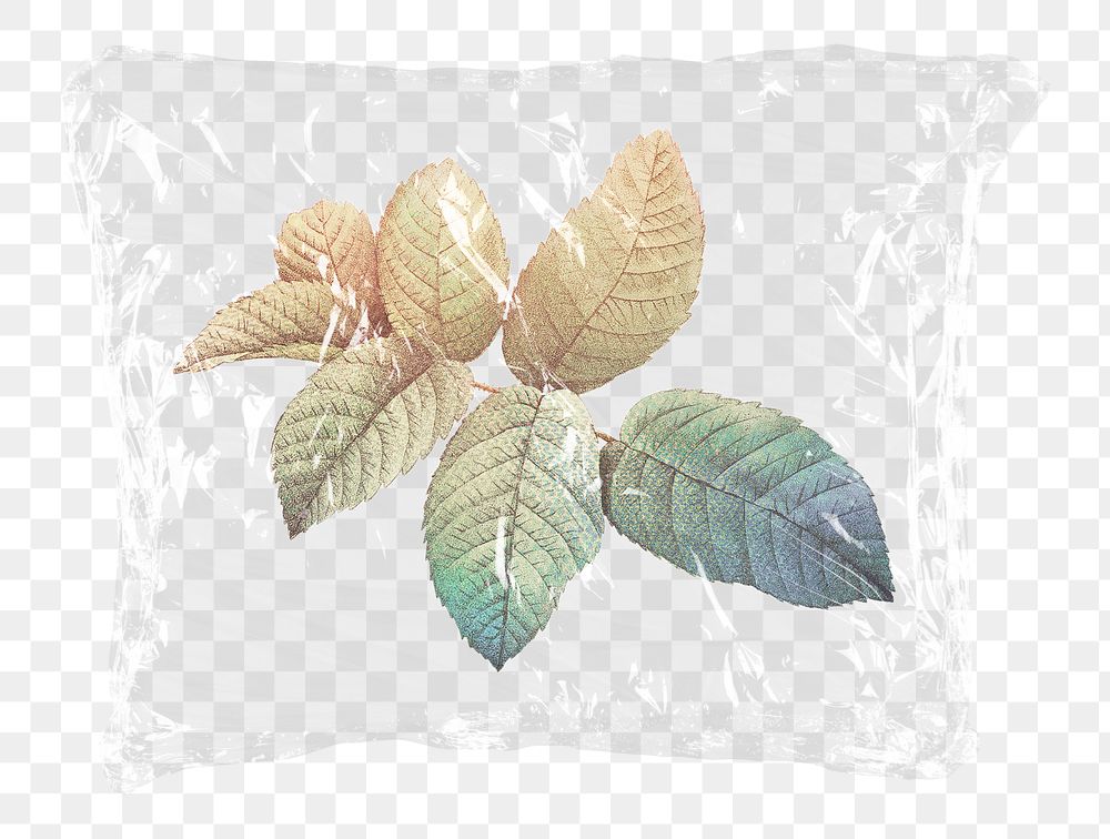 Png dried gradient leaf plastic bag sticker, Autumn concept art on transparent background