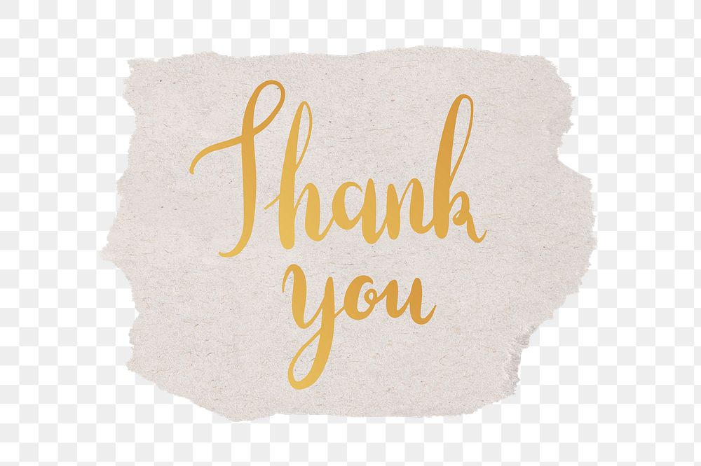 Thank you png word sticker typography, transparent background