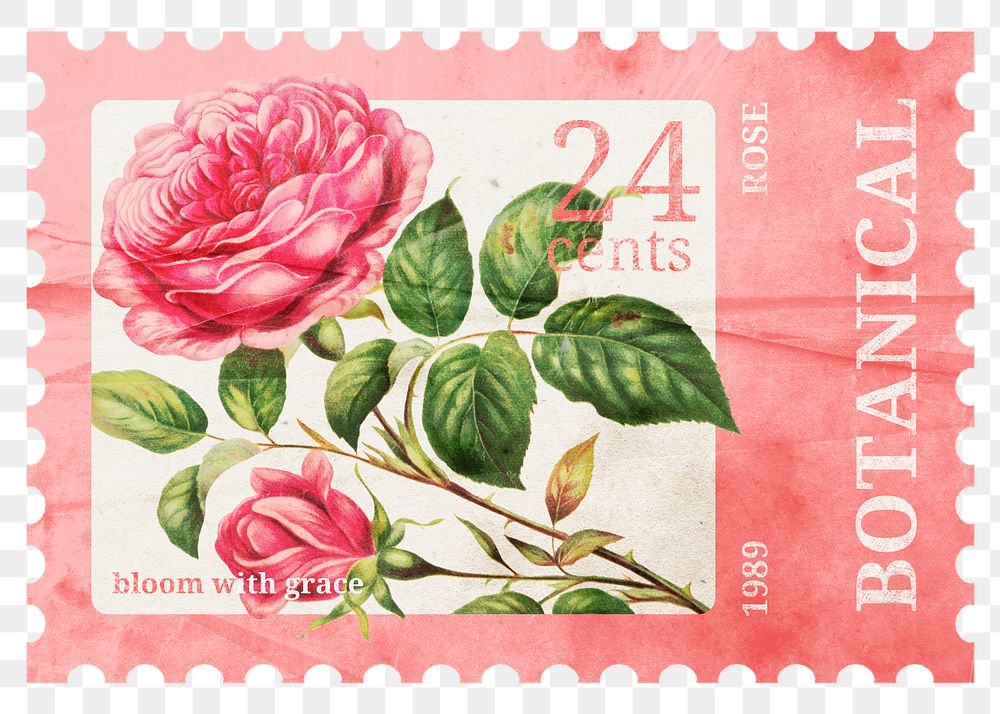 PNG rose postage stamp, Valentine's collage element, transparent background