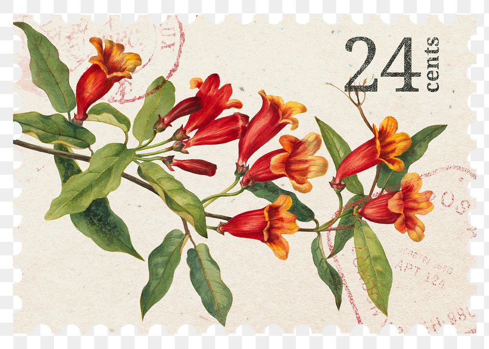PNG floral postage stamp, aesthetic red crossvine flower collage element, transparent background