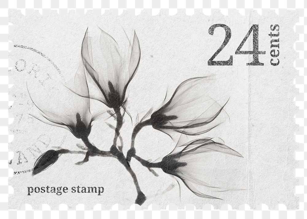 PNG floral postage stamp, aesthetic magnolia, grayscale flower collage element, transparent background