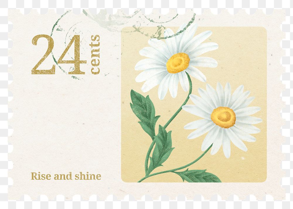 PNG daisy postage stamp, aesthetic collage element, transparent background