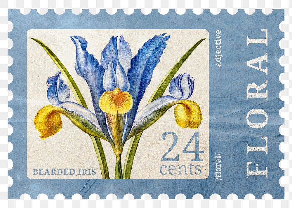 PNG floral postage stamp, aesthetic bearded iris collage element, transparent background