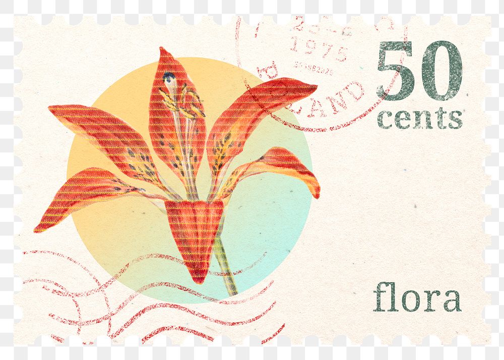 PNG floral postage stamp, aesthetic tiger lily flower collage element, transparent background