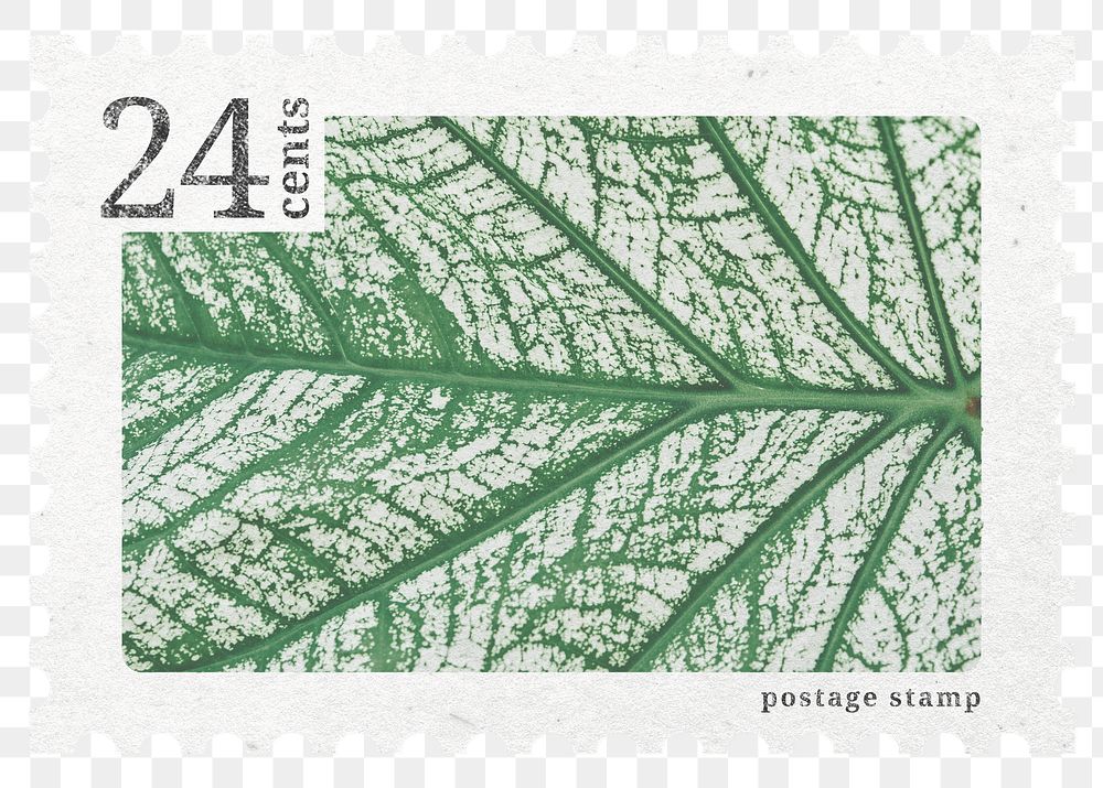 Postage stamp png, calathea leaf sticker, aesthetic collage element, transparent background