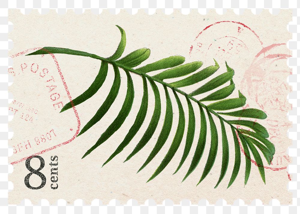 Postage stamp png, palm leaf sticker, aesthetic collage element, transparent background
