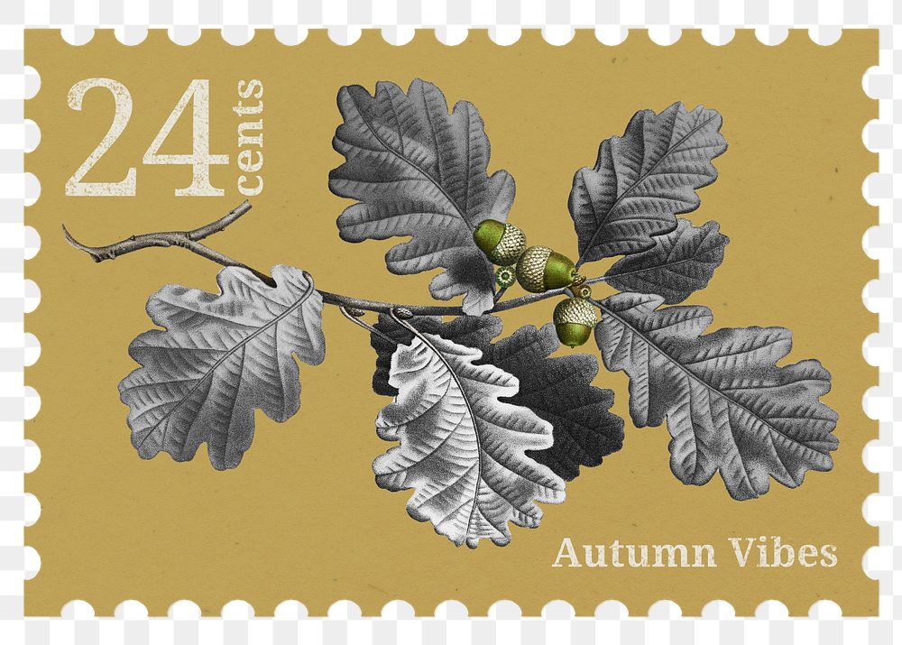 Postage stamp png, oak leaf sticker, aesthetic collage element, transparent background