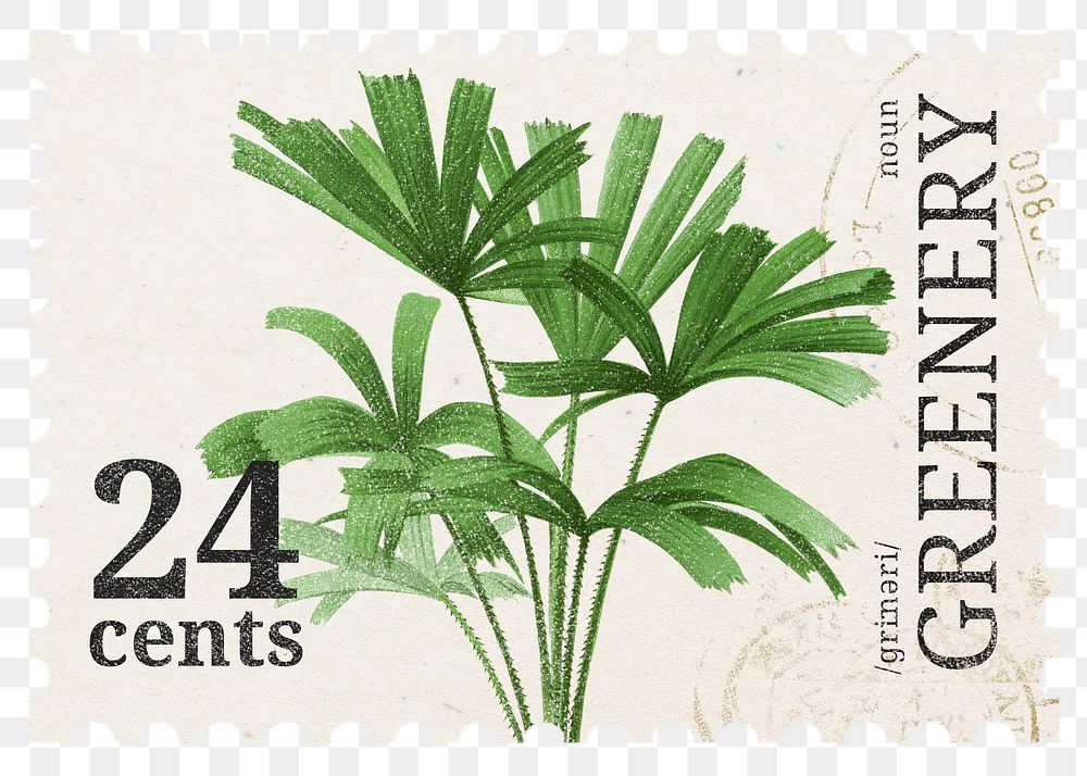 PNG botanical postage stamp, aesthetic palm tree collage element, transparent background