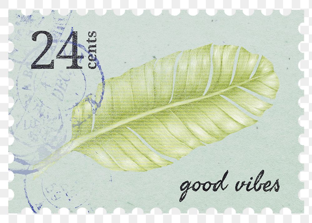 PNG botanical postage stamp, aesthetic banana leaf, transparent background