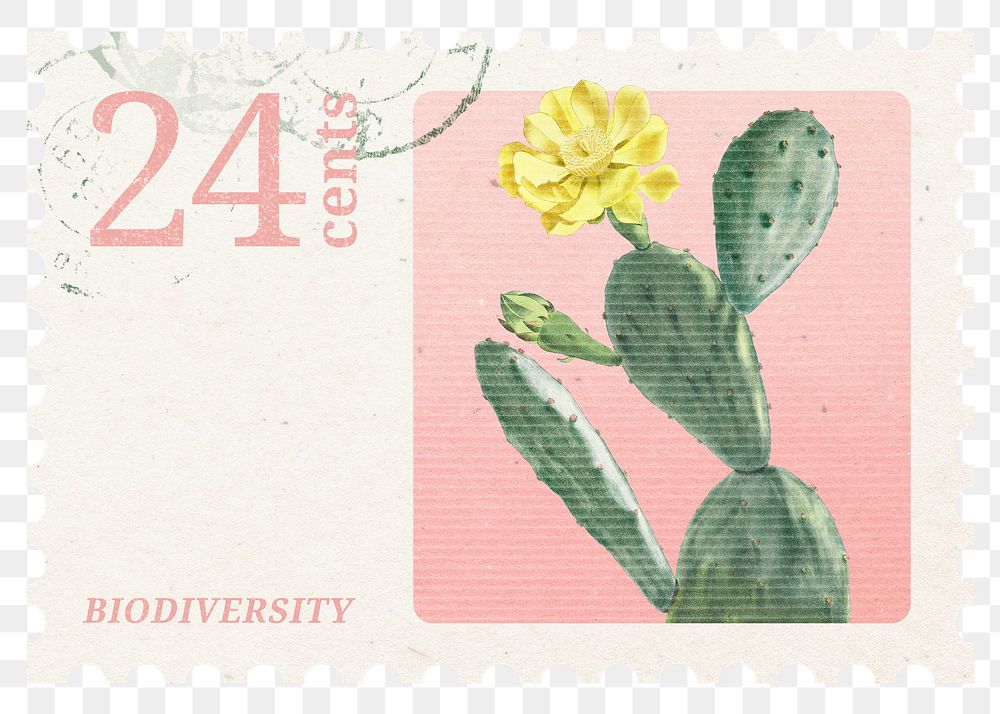 PNG cactus postage stamp, aesthetic botanical collage element, transparent background, remixed by rawpixel