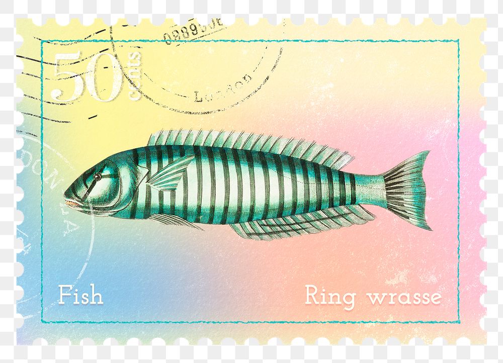 Green fish png post stamp sticker, transparent background