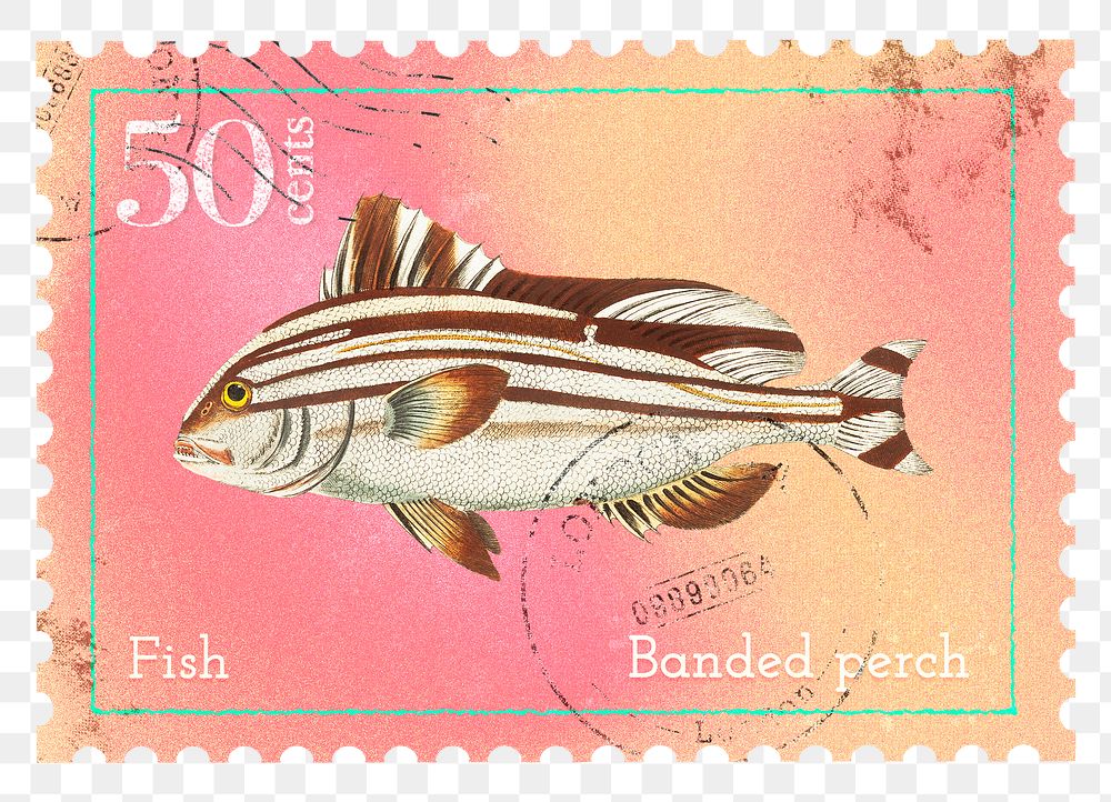 Fish png post stamp sticker, transparent background