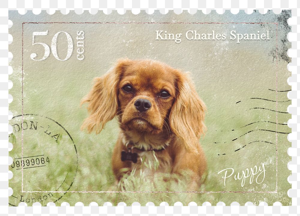 Puppy png post stamp sticker, transparent background