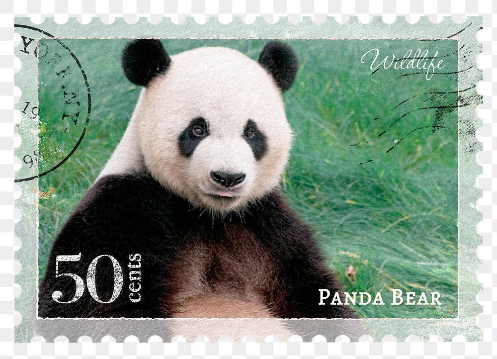 Panda png post stamp sticker, transparent background