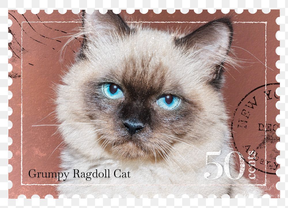 Cat png post stamp sticker, transparent background