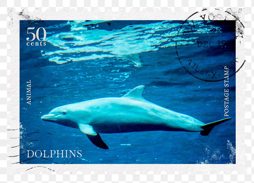 Dolphin png post stamp sticker, transparent background