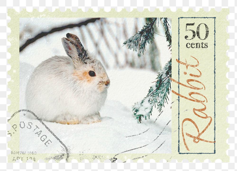 Rabbit png post stamp sticker, transparent background