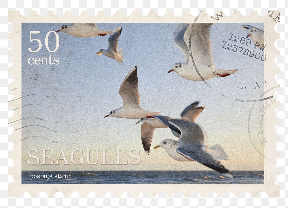 Seagulls png post stamp sticker, transparent background