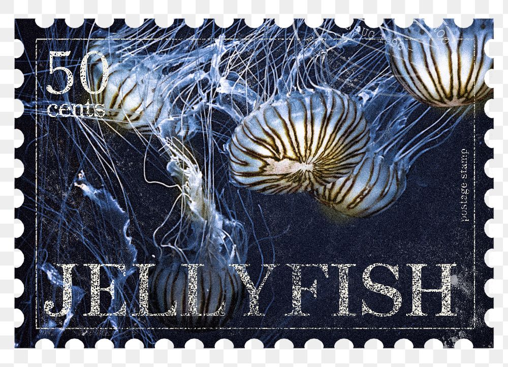 Jellyfish png post stamp sticker, transparent background