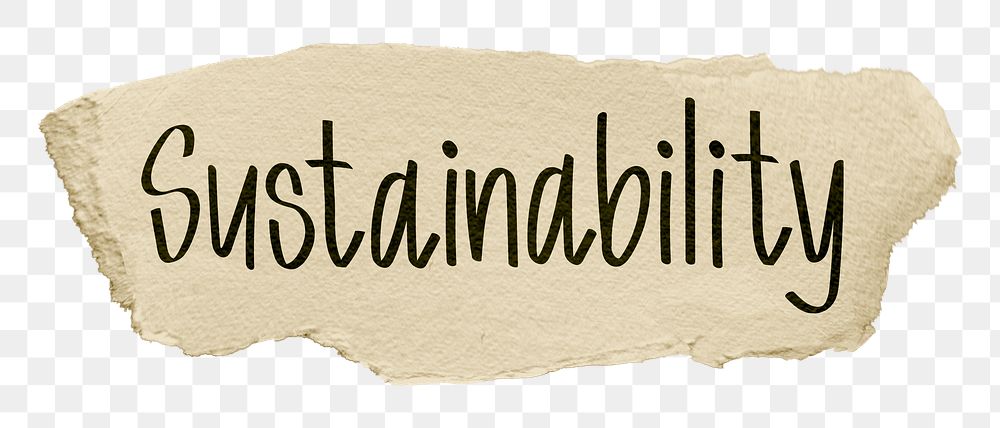 Sustainability png word sticker, ripped paper typography, transparent background