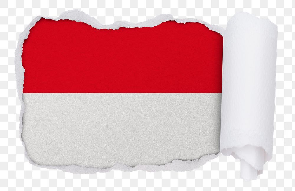 Flag of Indonesia png sticker, torn paper design, transparent background