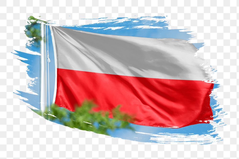 Poland flag png sticker, brush stroke design, transparent background